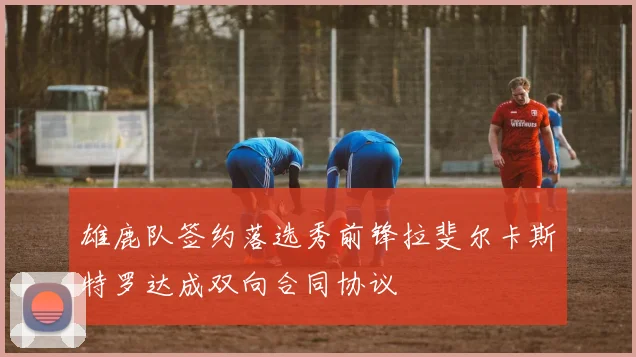 雄鹿队签约落选秀前锋拉斐尔卡斯特罗达成双向合同协议